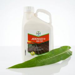 ADENGO 465 SC Bayer (5L): Erbicid Porumb Pre- și Postemergent cu Reactivare Împotriva Buruienilor Dicotiledonate și Monocotiledonate, Alege ambalajul dorit: 5 litri