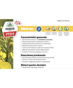 PT314 Seminte Rapita grupa Next Generation tratat LUMIGEN premium insecticid (Lumiposa) sac 2mln seminte