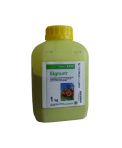 Signum 1kg fungicid pentru tomate si samburoase