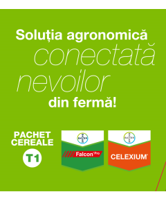 Pachet Falcon PRO + CELEXIUM pentru culturile de grau, orz si orzoaica erbicid+fungicid