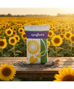 Subaro HTS seminte floarea soarelui tehnologie Express® - Stoc NOU!