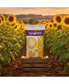 SY Bacardi seminte floarea soarelui tehnologie Clearfield® Plus sac 150.000seminte - 2.5HA - Stoc NOU!