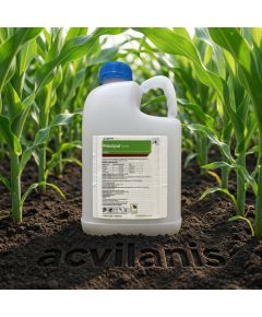 Principal Forte 2400g + Vivolt 2.5L - erbicid complet pentru postemergenta la porumb 5Hectare, Alege ambalajul dorit: 5 hectare