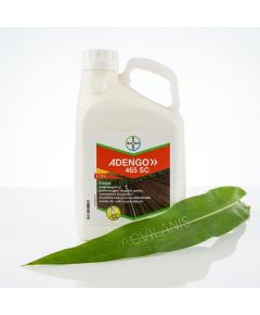 ADENGO 465 SC Bayer (5L): Erbicid Porumb Pre- și Postemergent cu Reactivare Împotriva Buruienilor Dicotiledonate și Monocotiledonate, Alege ambalajul dorit: 5 litri