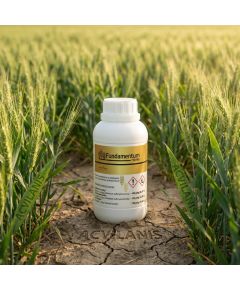 FUNDAMENTUM 700 WG - 150 g + adjuvant ASYSTENT 0.5 litri, 5 ha Innvigo, cereale, Alege ambalajul dorit: 5 hectare