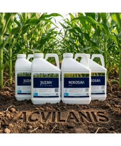 Pachet Porumb Nikosar 10L + Juzan 10L - 10 Ha | Acvilanis