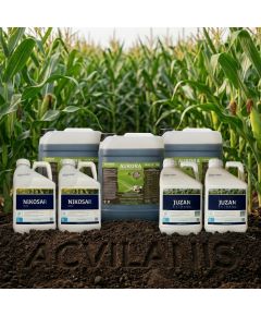 Pachet Porumb Nikosar 10L + Juzan 10L + Aurora 30L - 10 Ha | Acvilanis