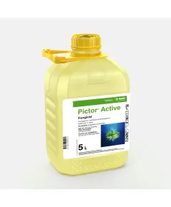 Pictor Active Fungicid BASF 5 Litri &ndash; Eficiență Maxima pentru Rapiță și Floarea Soarelui