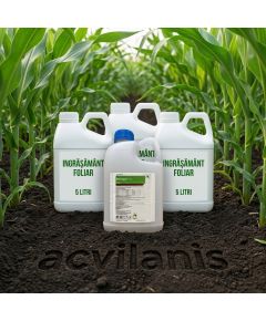 Pachet Principal Forte 2400g + Vivolt 2.5L + Foliar 15Litri - erbicid complet pentru postemergenta la porumb 5Hectare