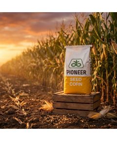 P9398 FAO 330 Seminte Porumb Pioneer Clasic sac 80MB - Stoc NOU!