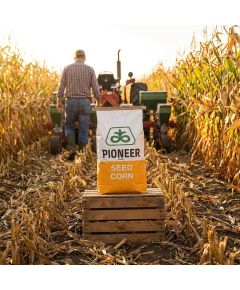 P9413 FAO 330 Seminte Porumb Pioneer sac 80MB - Stoc NOU!