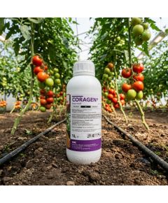 Coragen 1L insecticid sistemic contra Omida, Gandacul de Colorado, Molie, Vierme, Alege ambalajul dorit: Coragen 1Litru