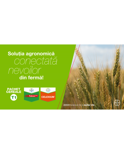 Pachet Falcon PRO + CELEXIUM pentru culturile de grau, orz si orzoaica erbicid+fungicid, 2 image