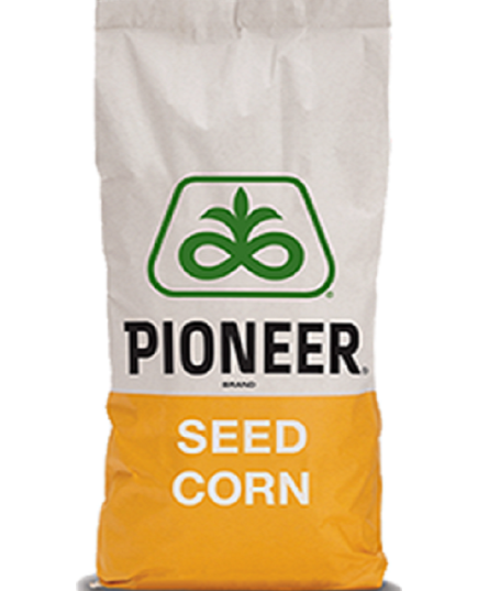 P9398 FAO 330 Seminte Porumb Pioneer Clasic sac 80MB - Stoc NOU!, 2 image