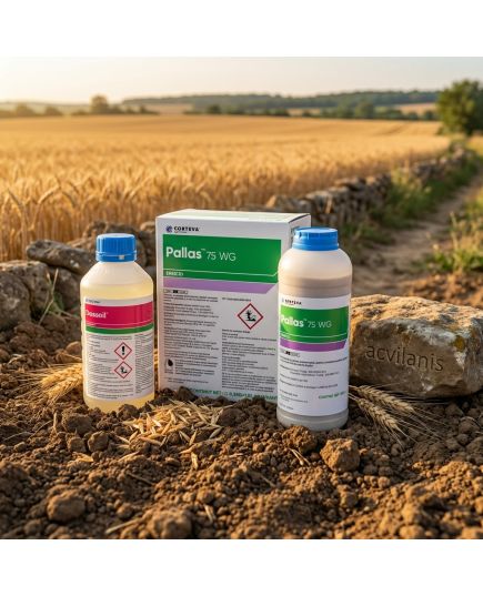 Pallas 75WG 500 g + Adjuvant 1 litru, pachet 2 HA, 2 image