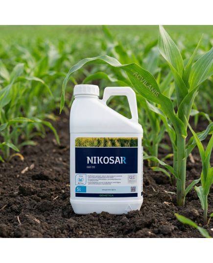 Nikosar 060Od 5L erbicid cu nicosulfuron contra frunzei late in porumb, Alege ambalajul dorit: Nicosar 5L, 2 image