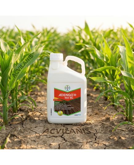 ADENGO 465 SC Bayer (5L): Erbicid Porumb Pre- și Postemergent cu Reactivare Împotriva Buruienilor Dicotiledonate și Monocotiledonate, Alege ambalajul dorit: 5 litri, 5 image