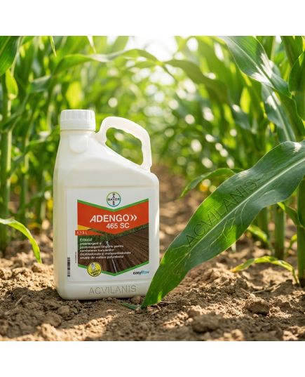 ADENGO 465 SC Bayer (5L): Erbicid Porumb Pre- și Postemergent cu Reactivare Împotriva Buruienilor Dicotiledonate și Monocotiledonate, Alege ambalajul dorit: 5 litri, 6 image