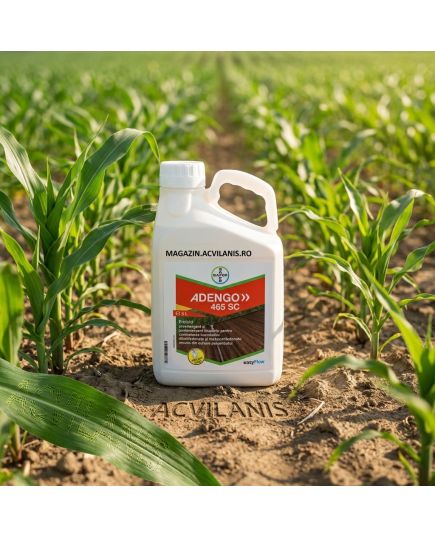 ADENGO 465 SC Bayer (5L): Erbicid Porumb Pre- și Postemergent cu Reactivare Împotriva Buruienilor Dicotiledonate și Monocotiledonate, Alege ambalajul dorit: 5 litri, 7 image