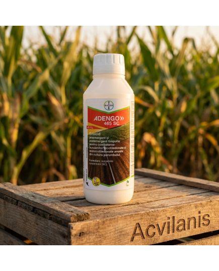 ADENGO 465 SC Bayer (1L): Erbicid Porumb Pre- și Postemergent cu Reactivare Împotriva Buruienilor Dicotiledonate și Monocotiledonate, Alege ambalajul dorit: 1 litru, 6 image