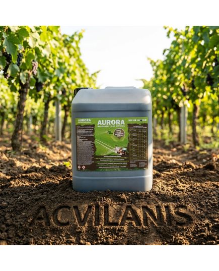 Aurora 10L Ingrasamant foliar superconcentrat cu extract natural din plante, Alege ambalajul dorit: 10 litri, 6 image