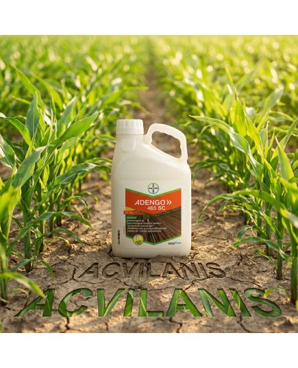 ADENGO 465 SC Bayer (5L): Erbicid Porumb Pre- și Postemergent cu Reactivare Împotriva Buruienilor Dicotiledonate și Monocotiledonate, Alege ambalajul dorit: 5 litri, 2 image