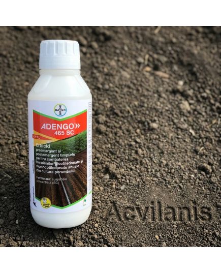 ADENGO 465 SC Bayer (1L): Erbicid Porumb Pre- și Postemergent cu Reactivare Împotriva Buruienilor Dicotiledonate și Monocotiledonate, Alege ambalajul dorit: 1 litru, 7 image