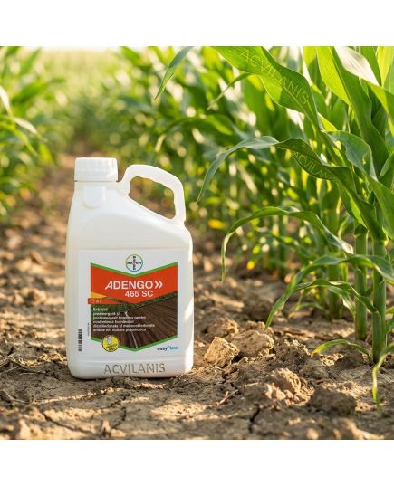 ADENGO 465 SC Bayer (5L): Erbicid Porumb Pre- și Postemergent cu Reactivare Împotriva Buruienilor Dicotiledonate și Monocotiledonate, Alege ambalajul dorit: 5 litri, 9 image