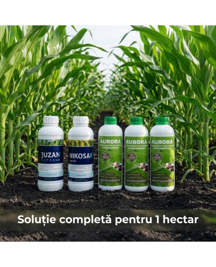 Pachet Porumb Nikosar 1L + Juzan 1L + Aurora 3L - 1 Ha | Acvilanis, 3 image