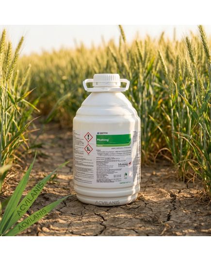 Mustang 5L erbicid pentr cereale paioase, Porumb, Alege ambalajul dorit: 5 litri, 4 image