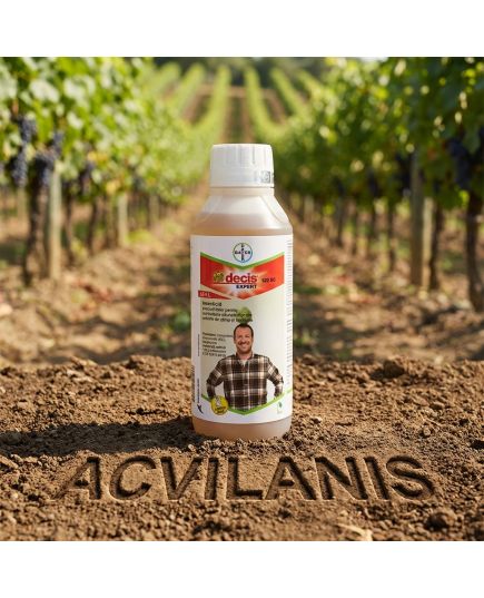 Decis Expert 100 EC 1L insecticid contra Afide, Gargarita, Tantar, Gandac, Purice, Fluture, Musculita, Buha, Alege ambalajul dorit: 1 litru, 6 image