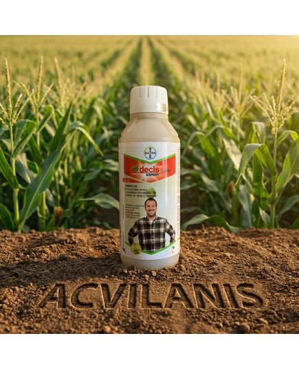 Decis Expert 100 EC 1L insecticid contra Afide, Gargarita, Tantar, Gandac, Purice, Fluture, Musculita, Buha, Alege ambalajul dorit: 1 litru, 7 image