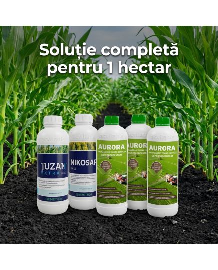 Pachet Porumb Nikosar 1L + Juzan 1L + Aurora 3L - 1 Ha | Acvilanis, 2 image