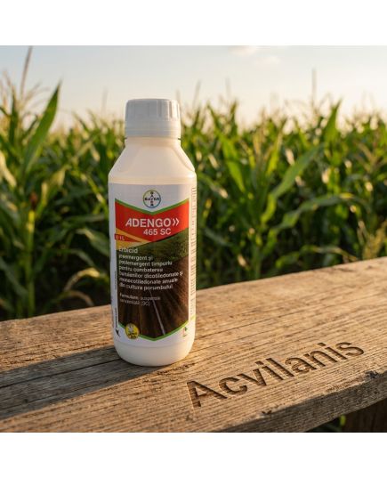 ADENGO 465 SC Bayer (1L): Erbicid Porumb Pre- și Postemergent cu Reactivare Împotriva Buruienilor Dicotiledonate și Monocotiledonate, Alege ambalajul dorit: 1 litru, 11 image