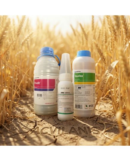 Quelex™ Super Pachet Tehnologic (0.5 Kg Quelex + 0.2 Kg Rival Top 20 SG + 2.5 L Vivolt) - 10 ha, 2 image