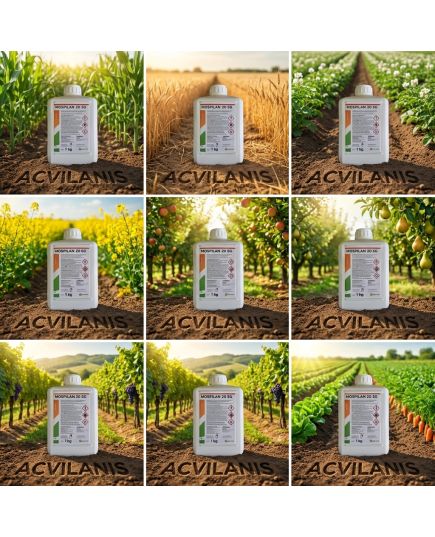 Mospilan 1kg insecticid sistemic, Alege ambalajul dorit: Mospilan, 3 image