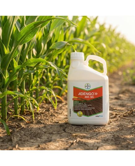 ADENGO 465 SC Bayer (5L): Erbicid Porumb Pre- și Postemergent cu Reactivare Împotriva Buruienilor Dicotiledonate și Monocotiledonate, Alege ambalajul dorit: 5 litri, 3 image