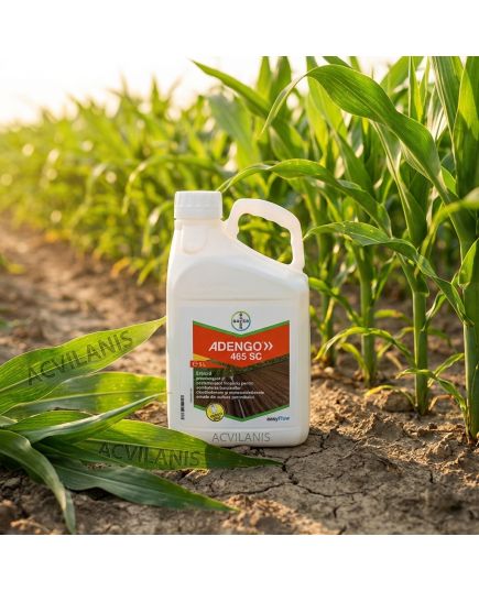 ADENGO 465 SC Bayer (5L): Erbicid Porumb Pre- și Postemergent cu Reactivare Împotriva Buruienilor Dicotiledonate și Monocotiledonate, Alege ambalajul dorit: 5 litri, 4 image