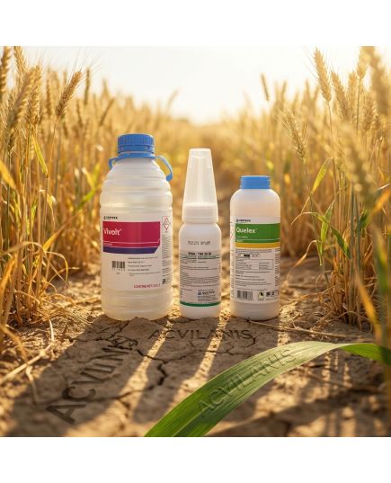 Quelex™ Super Pachet Tehnologic (0.5 Kg Quelex + 0.2 Kg Rival Top 20 SG + 2.5 L Vivolt) - 10 ha, 4 image