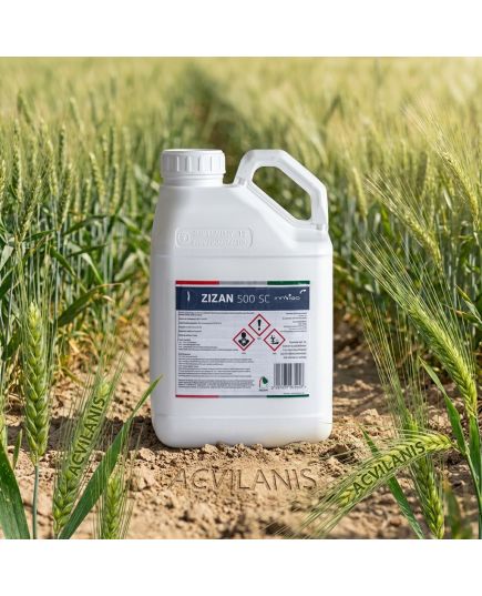 Zizan 500SC 5L fungicid contra Fainare grau, Rugina bruna, Septorioza, Fainarea cerealelor, Rugina, Patarea reticulara, 2 image