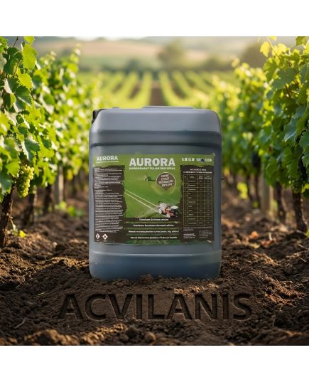 Aurora 10L Ingrasamant foliar superconcentrat cu extract natural din plante, Alege ambalajul dorit: 10 litri, 2 image