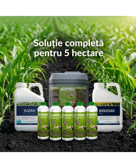 Pachet Porumb Nikosar 5L + Juzan 5L + Aurora 15L - 5 Ha | Acvilanis, 2 image