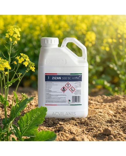 Zizan 500SC 5L fungicid contra Fainare grau, Rugina bruna, Septorioza, Fainarea cerealelor, Rugina, Patarea reticulara, 3 image