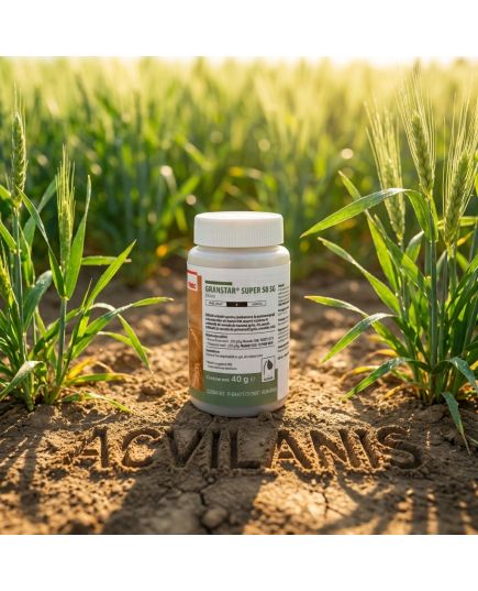 Granstar Super 40g erbicid pentru grau, Alege ambalajul dorit: Erbicid = 1hectar, 2 image