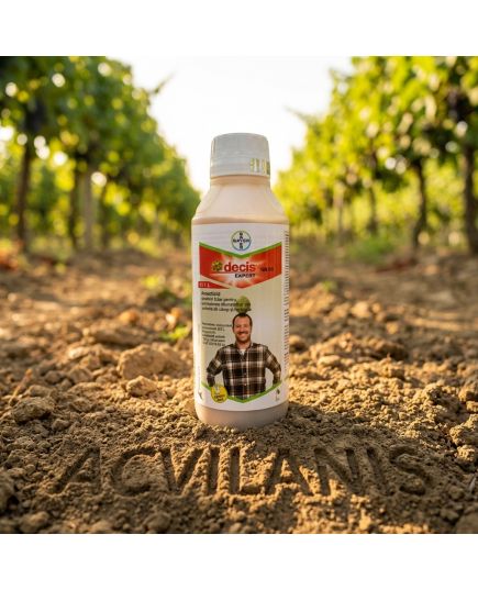 Decis Expert 100 EC 1L insecticid contra Afide, Gargarita, Tantar, Gandac, Purice, Fluture, Musculita, Buha, Alege ambalajul dorit: 1 litru, 3 image