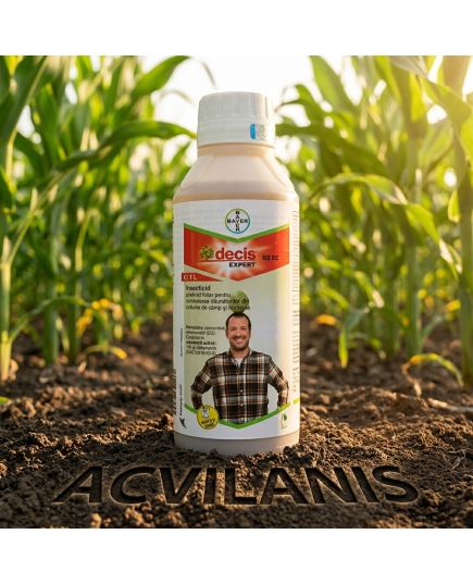 Decis Expert 100 EC 1L insecticid contra Afide, Gargarita, Tantar, Gandac, Purice, Fluture, Musculita, Buha, Alege ambalajul dorit: 1 litru, 4 image