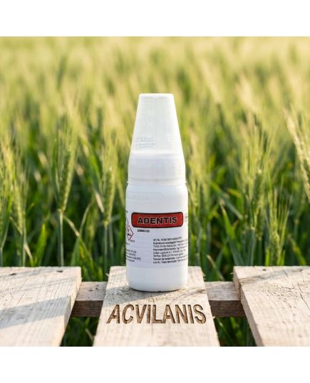 ADENTIS 75 WG (Tribenuron-metil) 5HA: Control Excelent Buruieni Dicotiledonate Grâu & Orz (100g), Alege ambalajul dorit: 5 hectare, 2 image