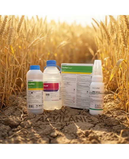 Quelex™ Super Pachet Tehnologic (0.5 Kg Quelex + 0.2 Kg Rival Top 20 SG + 2.5 L Vivolt) - 10 ha, 6 image