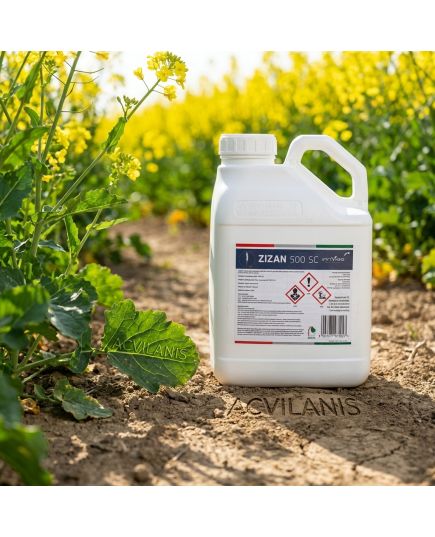 Zizan 500SC 5L fungicid contra Fainare grau, Rugina bruna, Septorioza, Fainarea cerealelor, Rugina, Patarea reticulara, 4 image