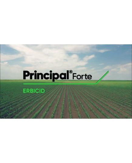 Pachet Principal Forte 2400g + Vivolt 2.5L + Foliar 15Litri - erbicid complet pentru postemergenta la porumb 5Hectare, 2 image